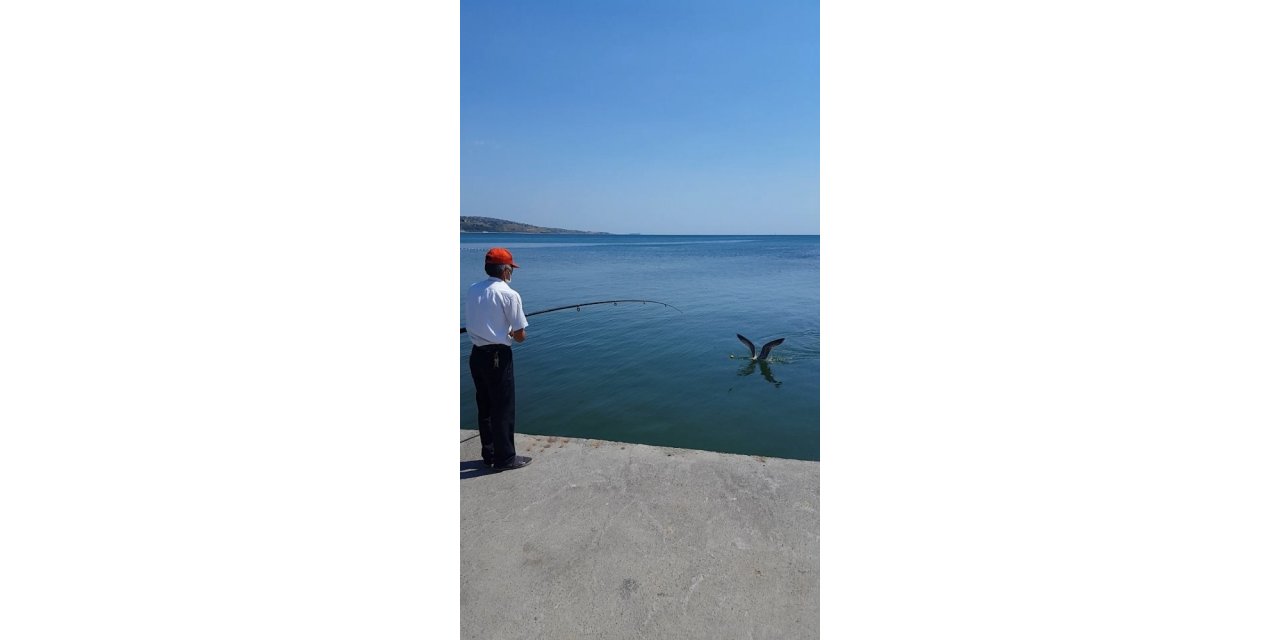 Oltaya Balık Değil, Martı Takıldı