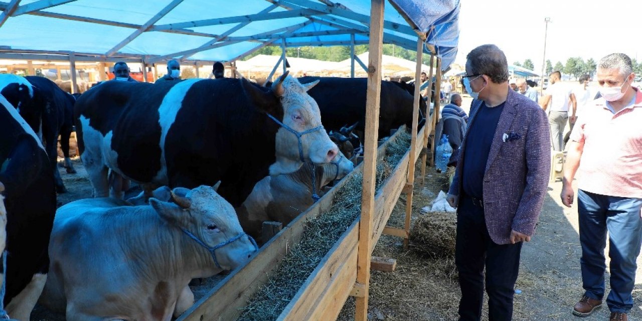 Başkan Deniz Köken, Kurban Satış Alanında İncelemelerde Bulundu