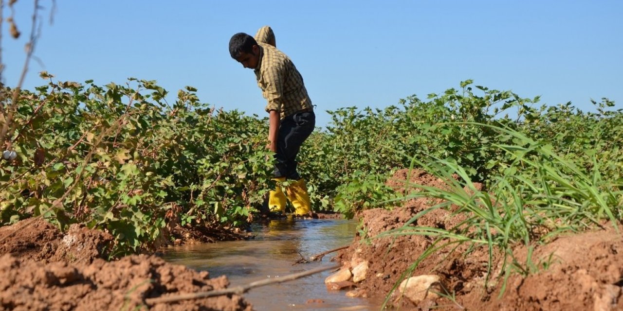 Dicle Elektrik Ykb Atalay: "şanlıurfa Ve Mardin’de Ödenmeyen Borç 3.6 Milyar Lira"