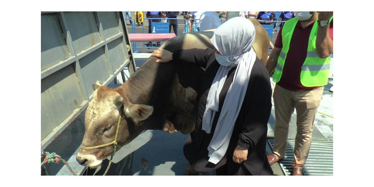 Sancaktepe’de Ayasofya-i Kebir Cami-i Şerifi İçin Şükür Kurbanı Kesildi