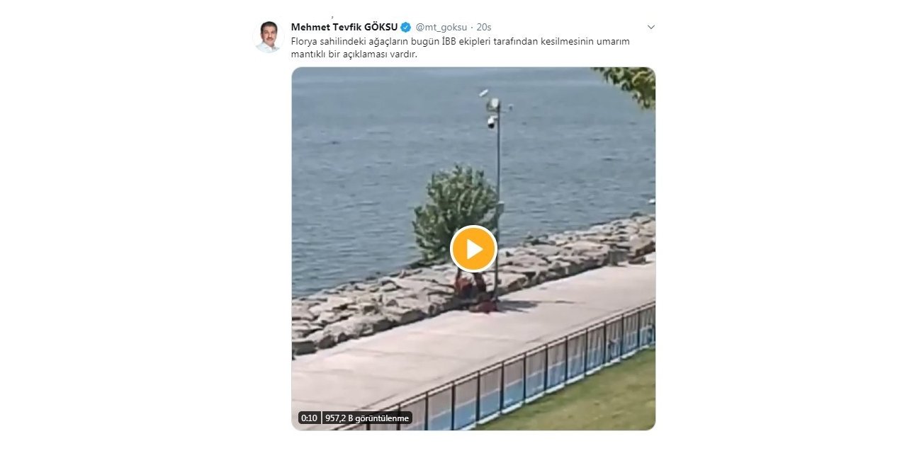 Tevfik Göksu’dan İbb’ye Ağaç Tepkisi