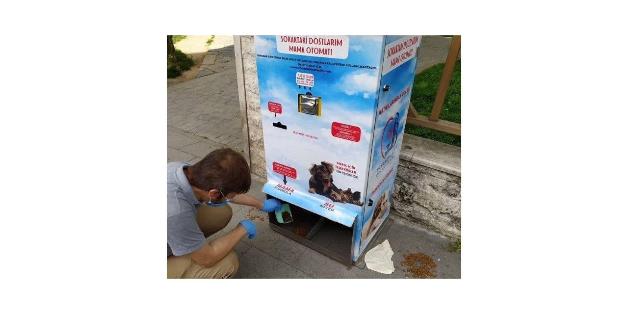 Bayrampaşa’da Sokak Hayvanları Unutulmuyor