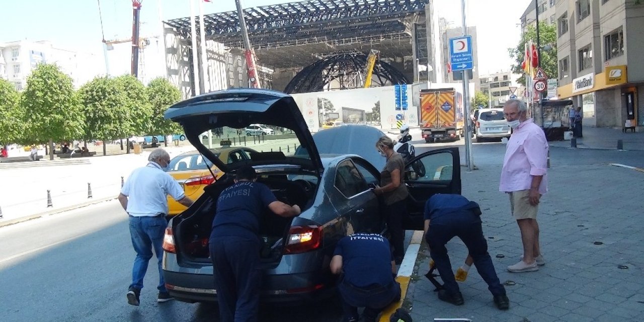 Taksim’de Yavru Kedileri Kurtarma Operasyonu