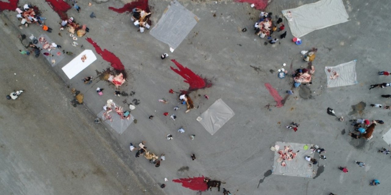 Sultangazi Hayvan Pazarında İlk Gün Yoğunluğu