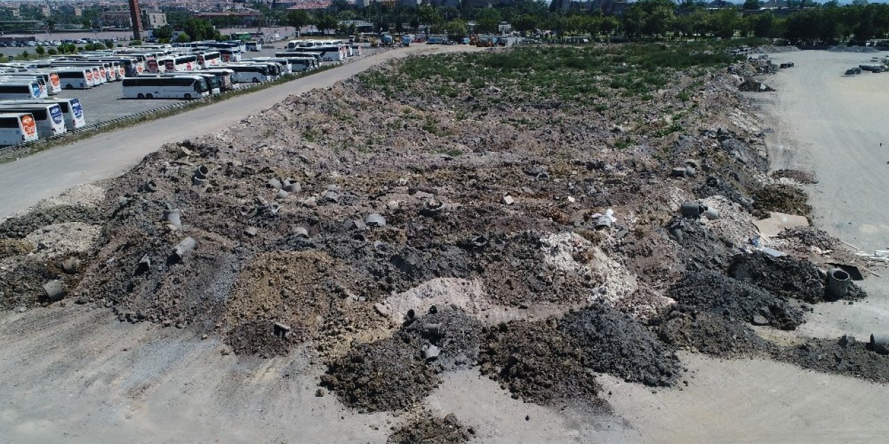 Kanalizasyon Hafriyatında Domates Yetişiyor