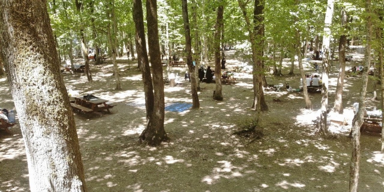Vatandaşlar Bayramın Son Günü Belgrad Ormanı’na Akın Etti