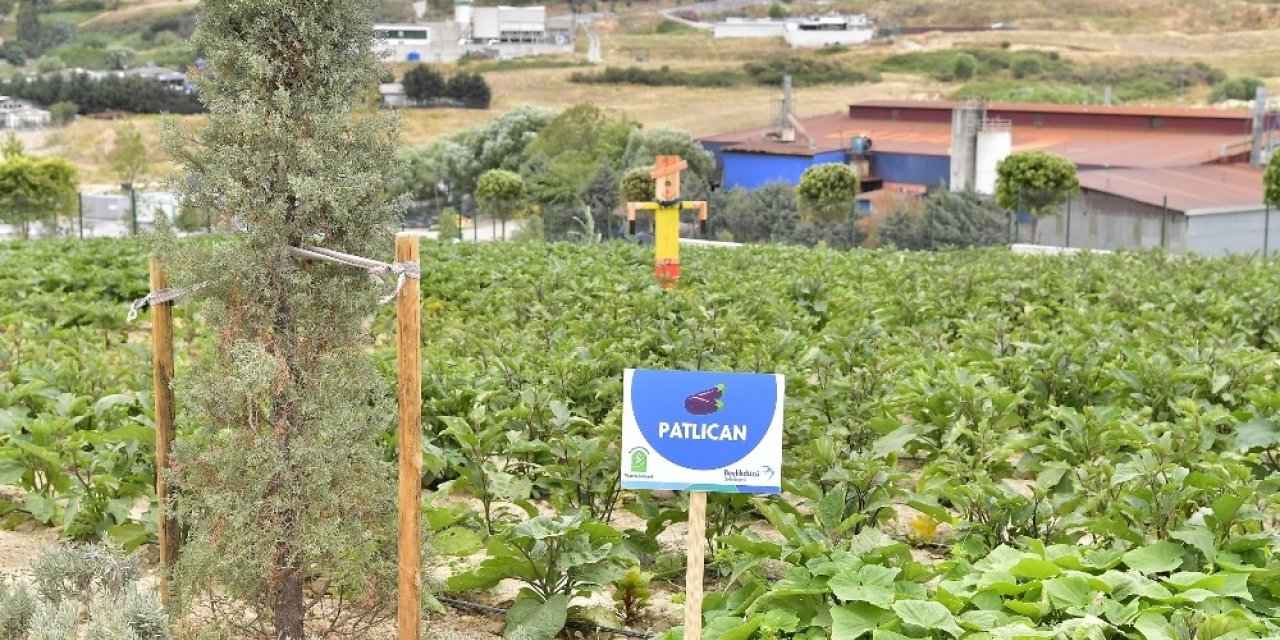 Yaşam Bahçesi Bin 556 Ailenin Sofrasına Umut Oldu