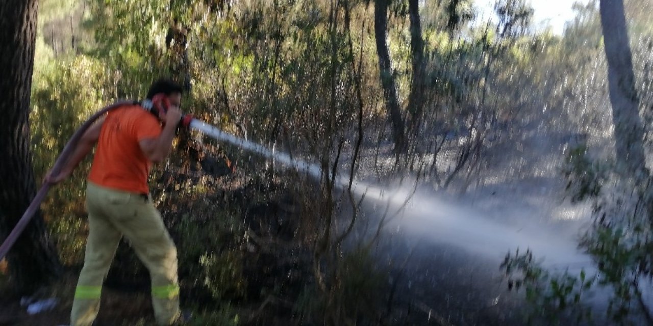 Aydos Ormanı’ndaki Yangın Kontrol Altına Alındı
