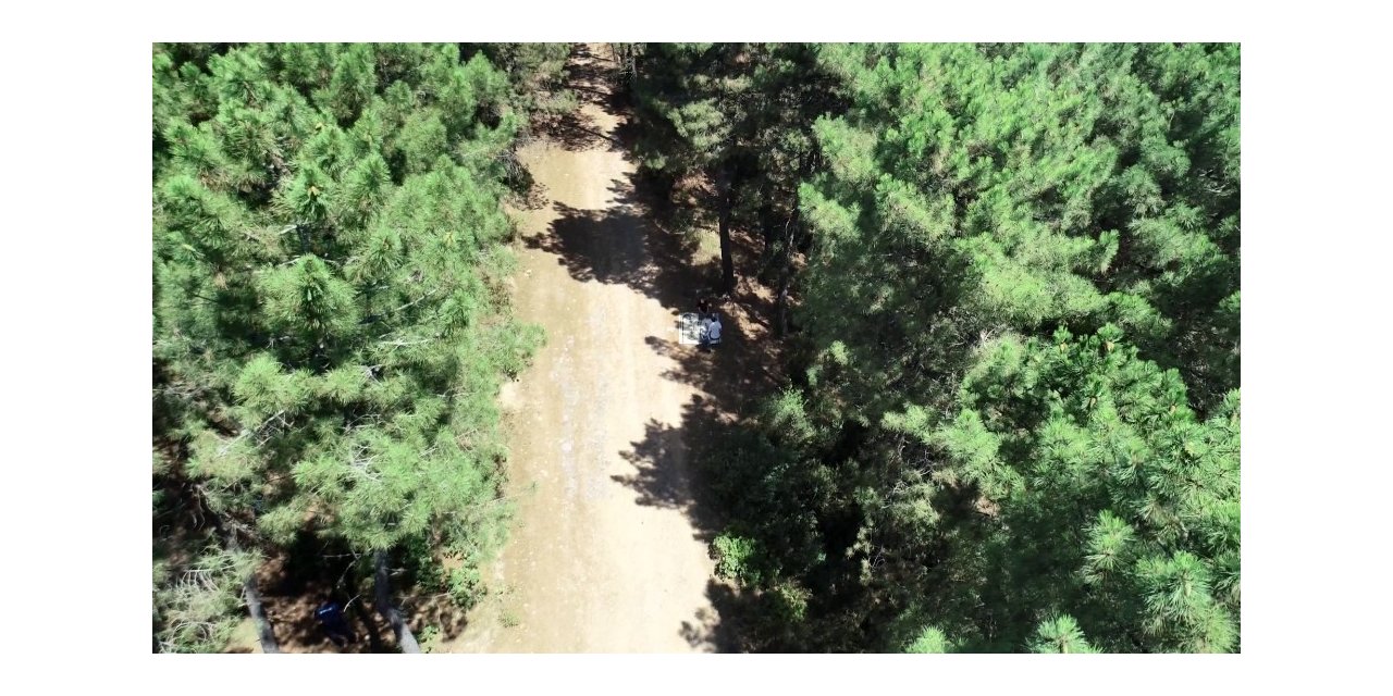 Pendik’te Aydos Ormanında Dronelu Mangal Denetimi