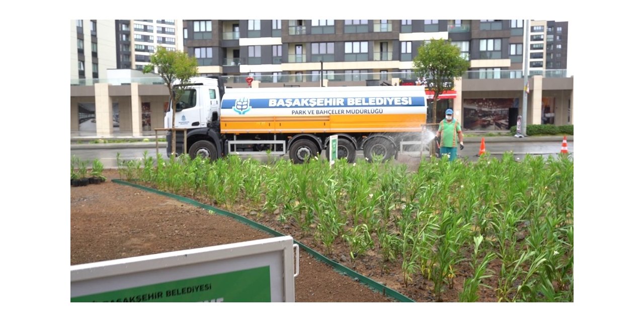 Başakşehir’de Kavşaklar Yeşile Büründü