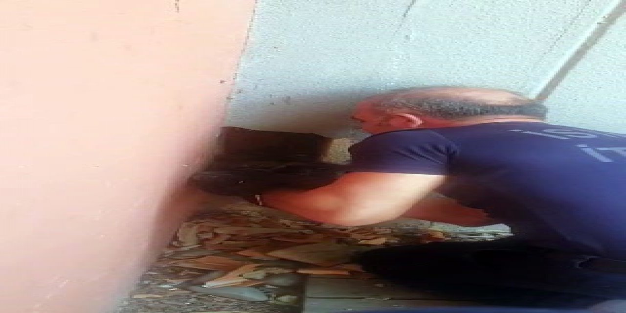 Bahçeşehir’de Yavru Kediyi Kurtarma Operasyonunda İç Isıtan Görüntüler