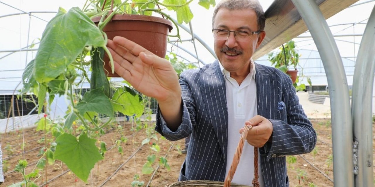 Eyüpsultan’da Serada İlk Hasat Yapıldı