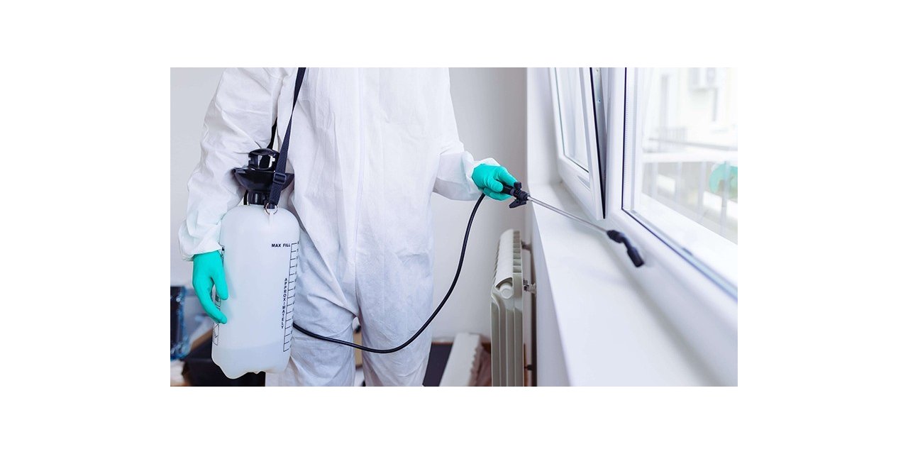 İnternette İstanbullular Araç Bakımı, Ankaralılar Cam Balkon Hizmeti Arıyor