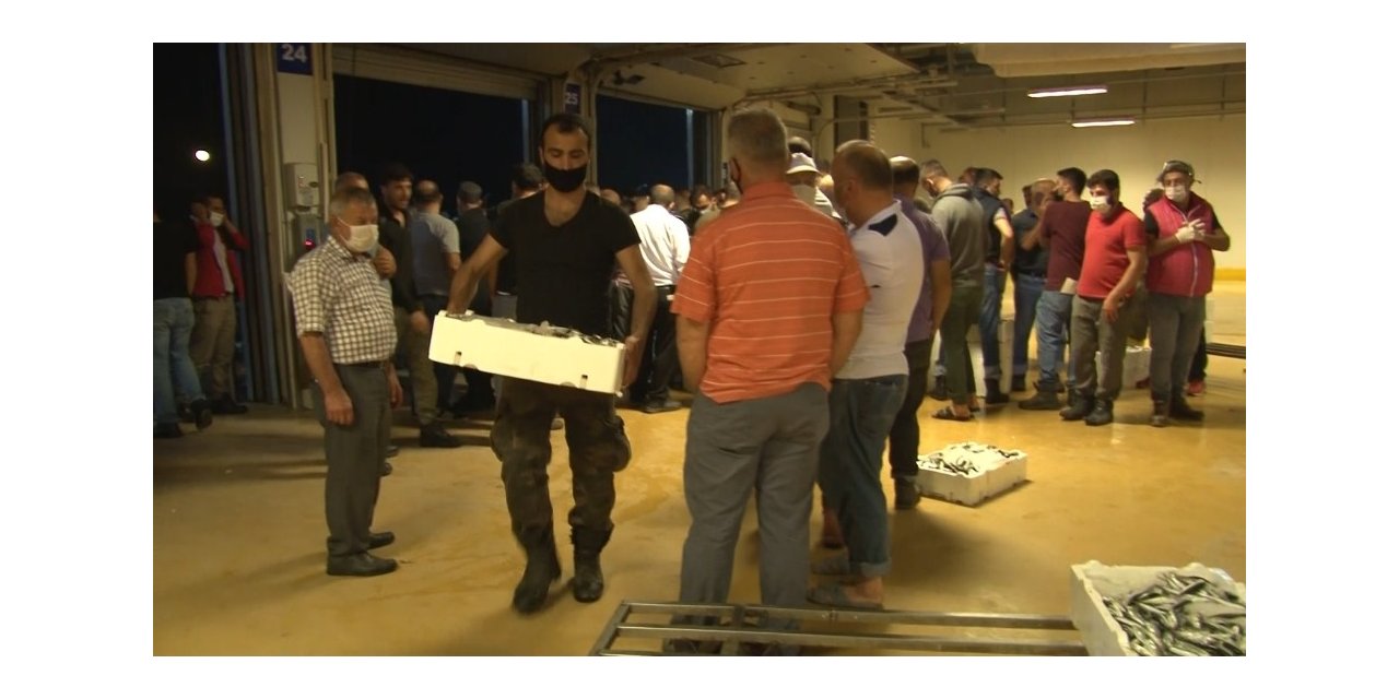 İstanbul Gürpınar Su Ürünleri Hali’nde Satış Sezonu Başladı
