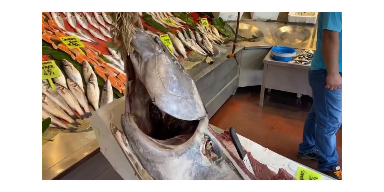 Yeni Sezonun İlk Balıkları Tezgahlarda