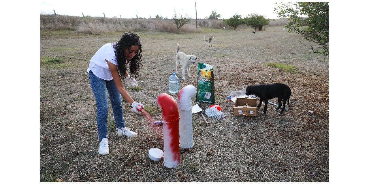 Thy’nin Gönüllü Kabin Memurundan Sokak Hayvanlarına Yardım Eli