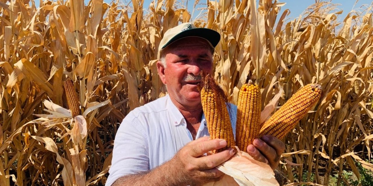 Salgın Döneminde Model Üretim Alanı Çalışmaları Sürüyor