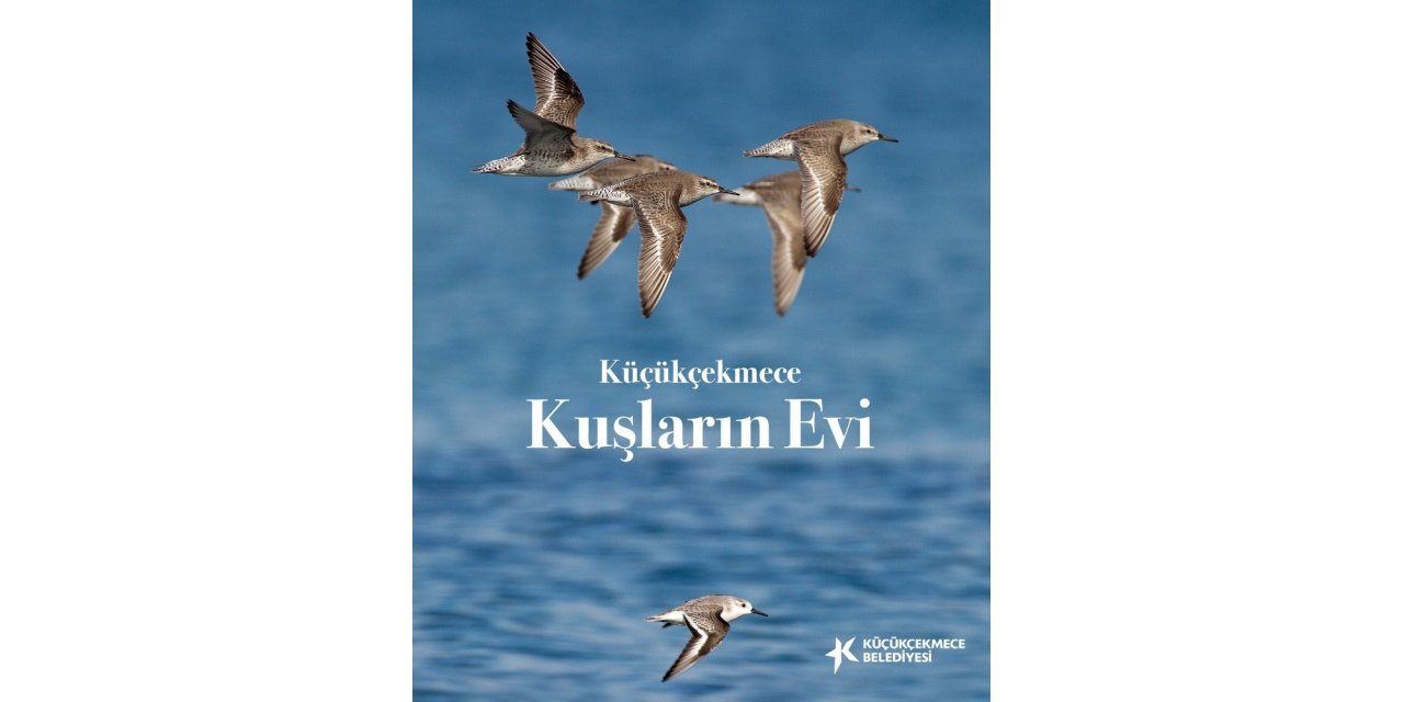 Küçükçekmece Belediyesinden, ‘küçükçekmece - Kuşların Evi’ Eseri