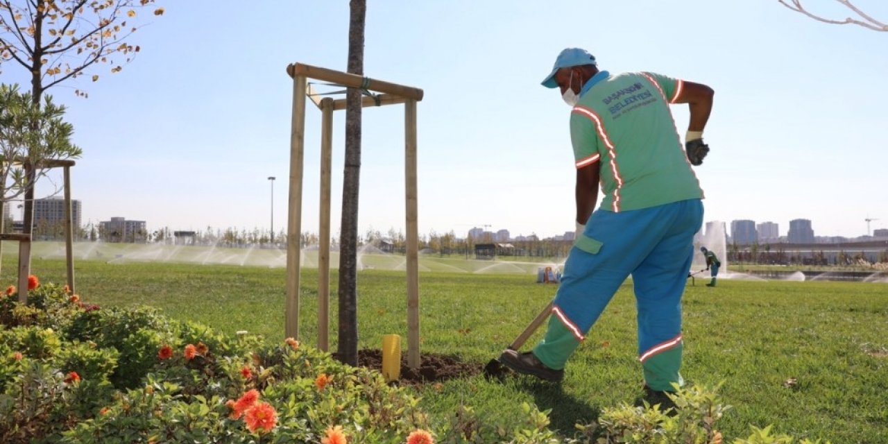 Başakşehir’de Yeşil Alanlara Sonbahar Bakımı