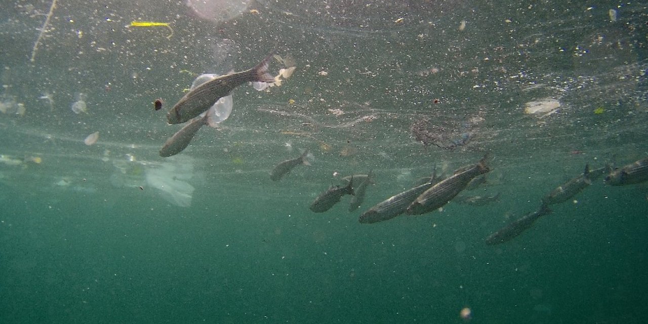 Yenikapı Sahili’nde Kirlilik Su Altı Drone Kamerasında