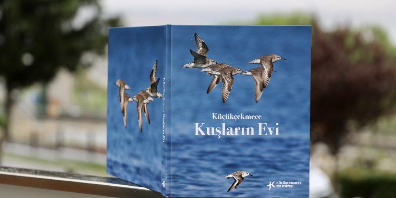 Küçükçekmece Gölü’nde Yaşayan 166 Kuş Türü Kitapta Toplandı