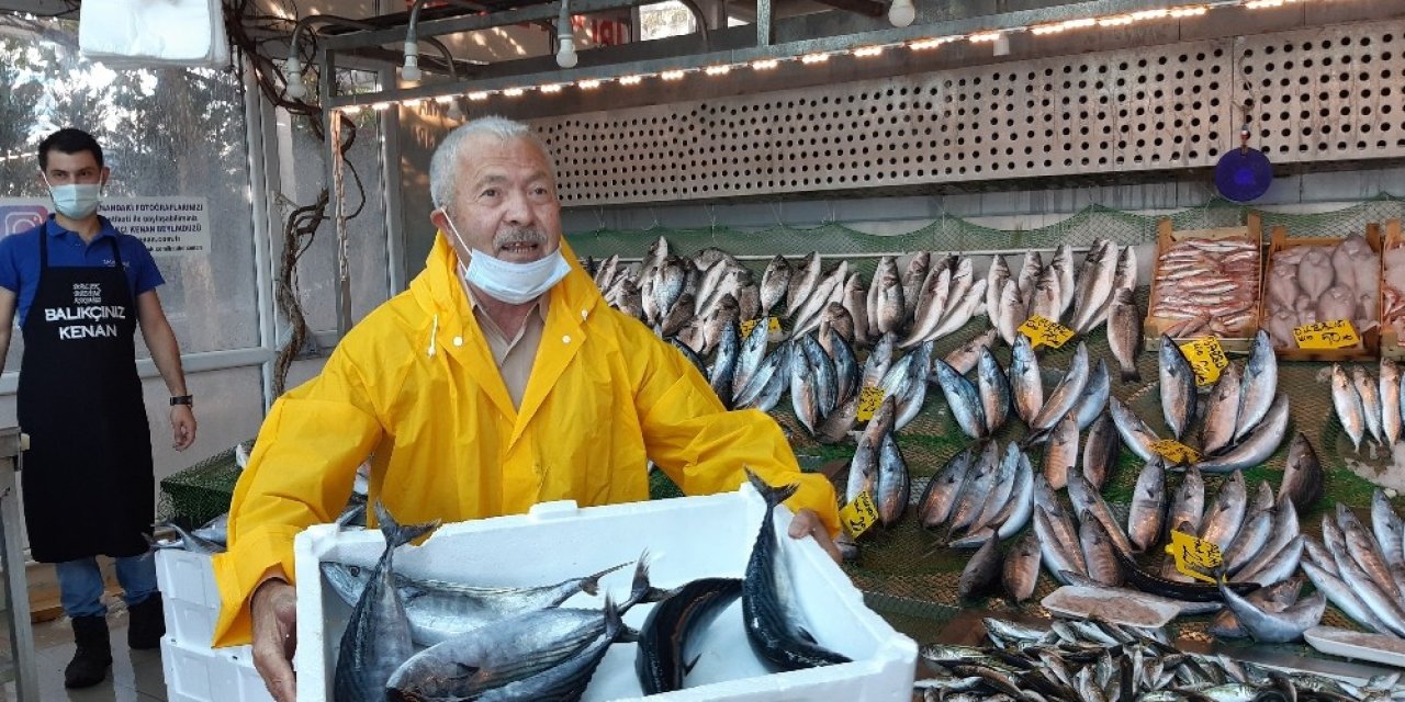 Tezgahlarda Palamut Bolluğu