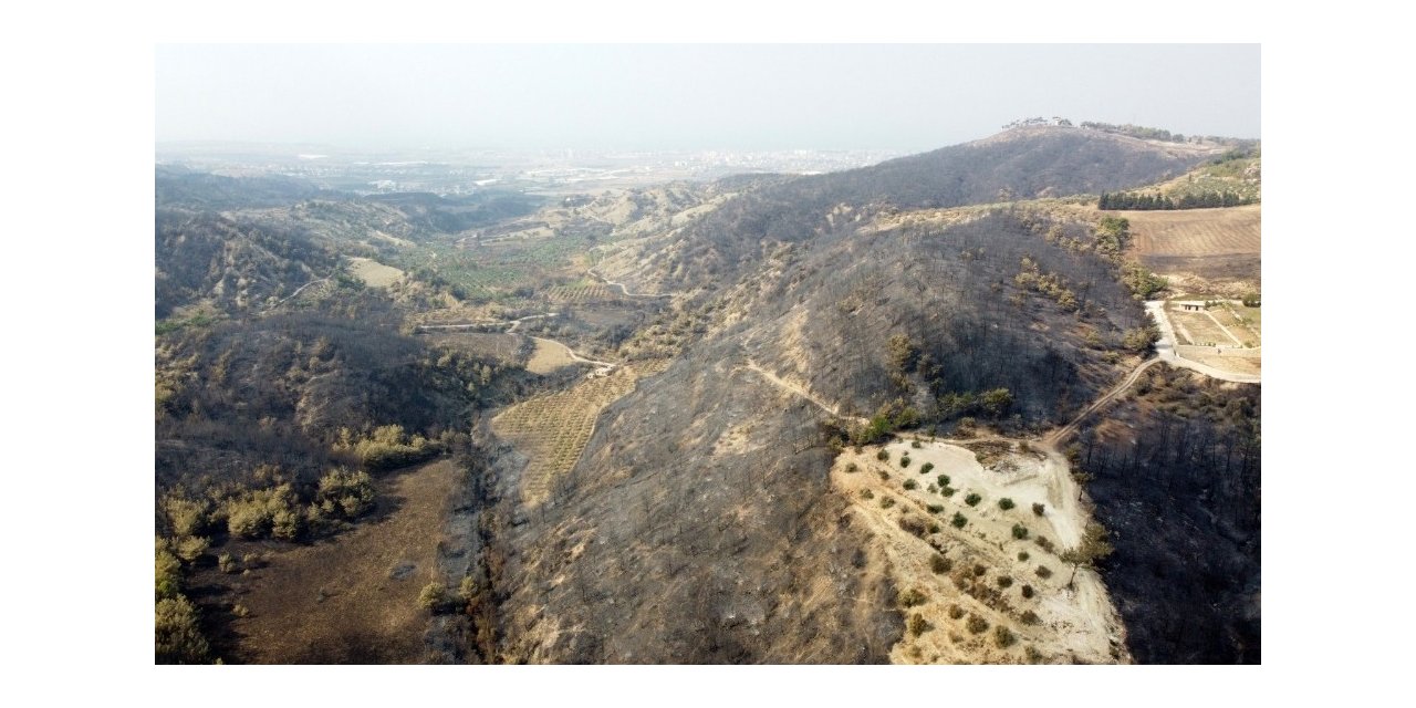 Tüsikon Hatay İçin Seferber Oldu