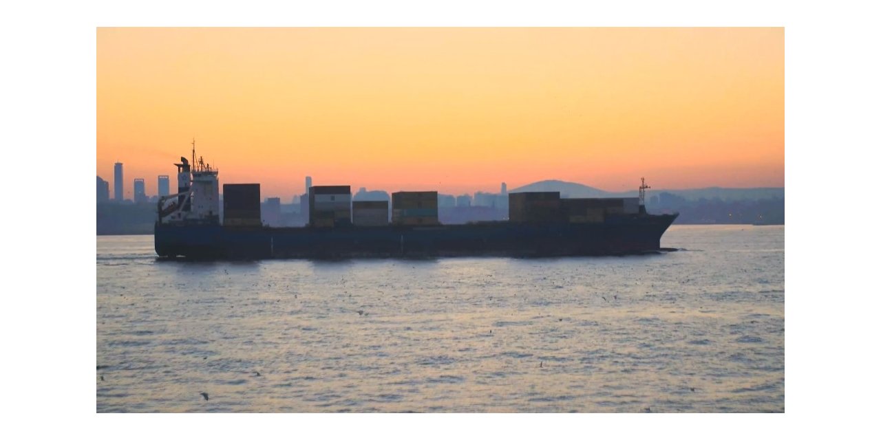 Yunusların Dev Gemilerle Oyunu