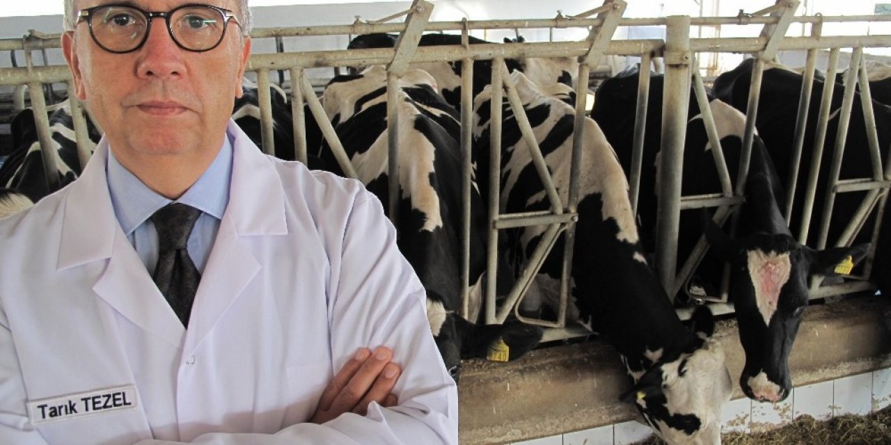 Setbir’den Dünya Gıda Günü Açıklaması