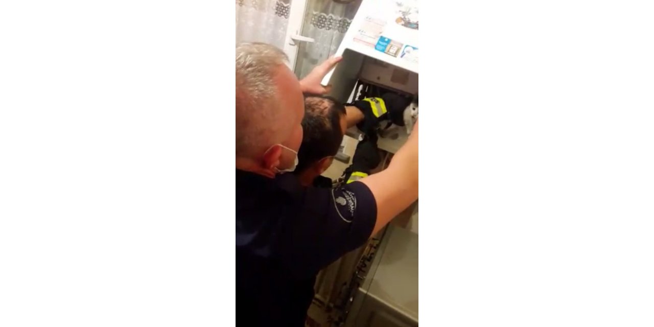 Kombiye Sıkışan Sokak Kedisi Böyle Kurtarıldı