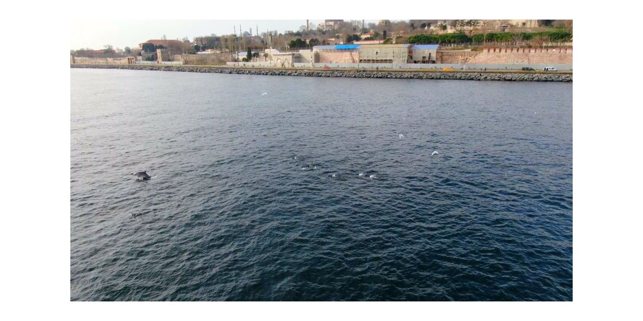 İstanbul Boğazı’nda Yunus Şöleni