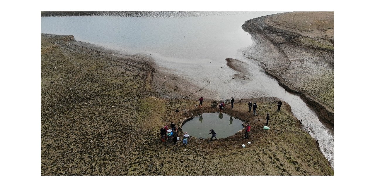 Kuruyan Ömerli Barajı’nda Mahsur Kalan Yavru Balıkları Kurtarma Operasyonu Havadan Görüntülendi