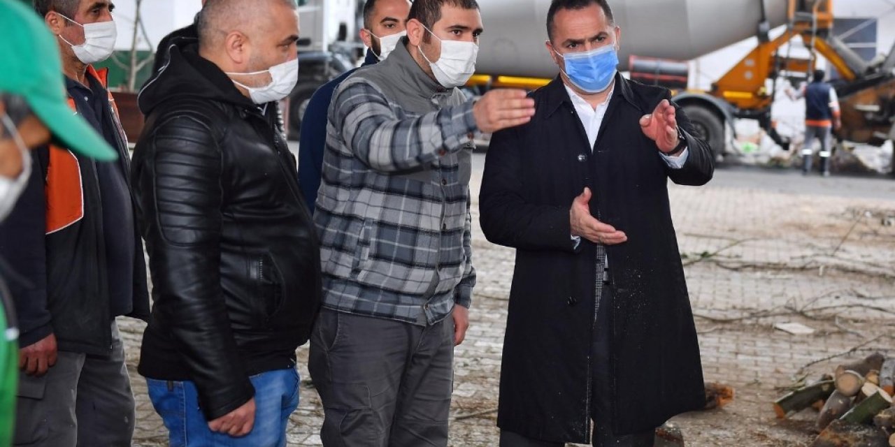 Beyoğlu’nda Budanan Ağaç Dalları Vatandaşlara Yakacak Olarak Dağıtılıyor