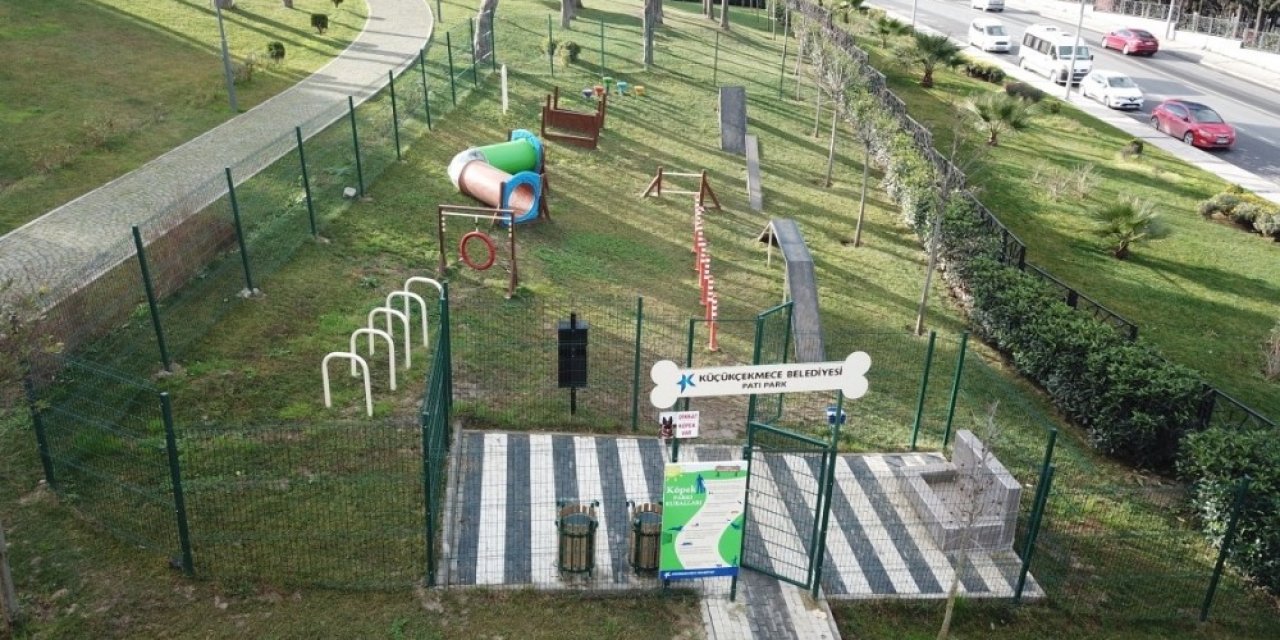 Küçükçekmece’de Köpeklere Özel Pati Park