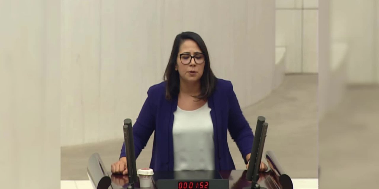 TBMM'DE "KADINA YÖNELİK ŞİDDET" TARTIŞMASI: "BÖYLE BİR GÜNDE HERHANGİ BİR 'BIYIKLIYLA' MUHATAP OLMAK İSTEMİYORUM"