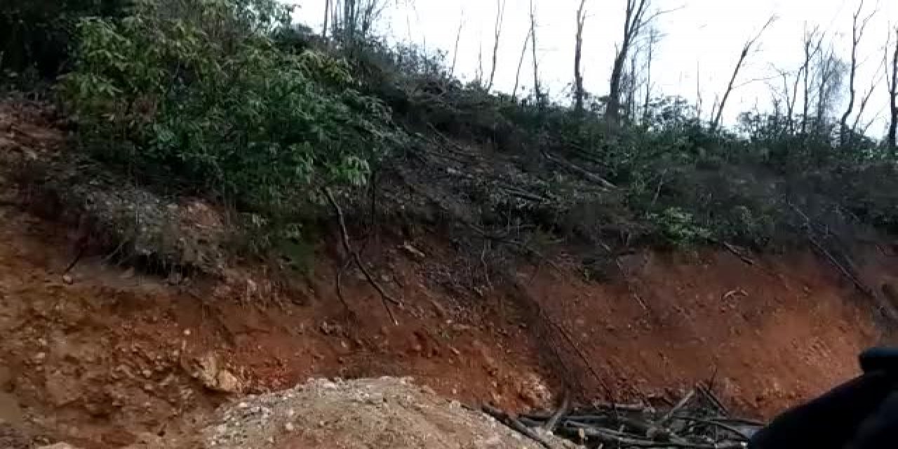 FATSA'DA AĞAÇ KESİMİNE ORDULU DOĞA SAVUNUCULARINDAN TEPKİ: "YAPAN DA KESEN DE İZİN VEREN DE KATİLDİR"