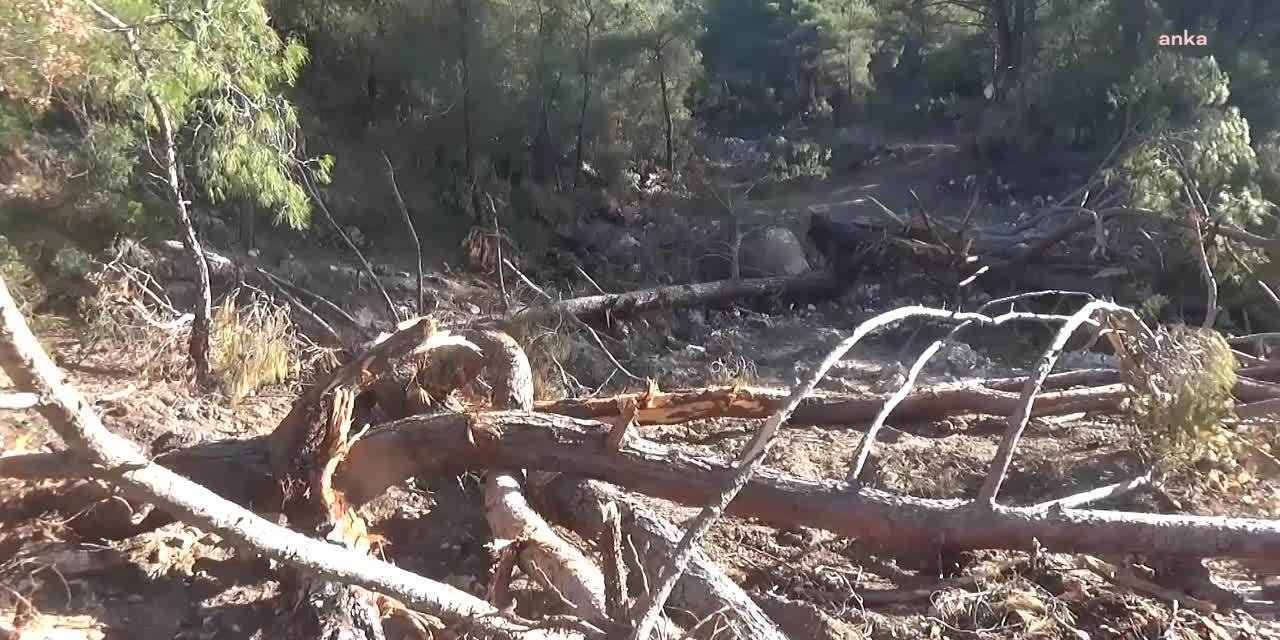 KIZILÇAM ORMANININ BAĞRINA MERMER OCAĞI, TBMM GÜNDEMİNDE