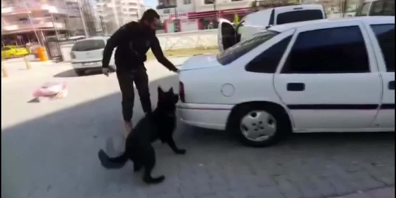 ŞANLIURFA'DA 80 KG UYUŞTURUCUYU DEDEKTÖR KÖPEKLER  BULDU