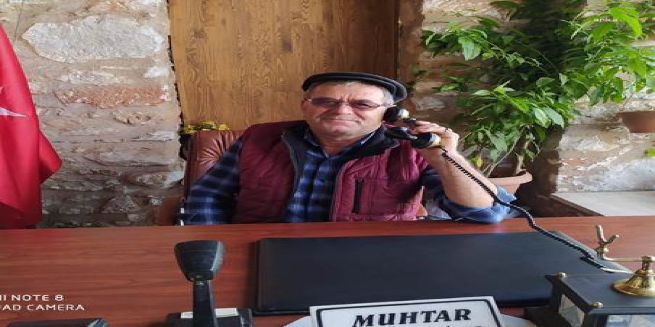 BUDANAN AĞAÇ DALI ESKİ MUHTARIN HAYATINI ALDI