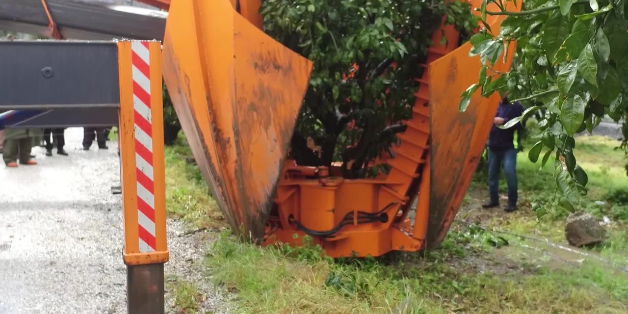 GÜZELBAHÇE'DE BİR HAYAL DAHA GERÇEKLEŞİYOR... BAŞKAN İNCE: AĞAÇLAR TAŞINACAK ODTÜ GİBİ OLMAYACAK!