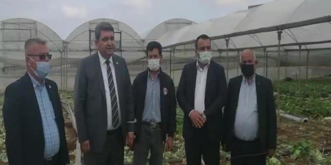 MERSİNLİÇİFTÇİ FIRTINA SONRASI DERT YANDI: "SERA YIKILDI, MARUL TARLADA KALDI, BORÇÇOK"