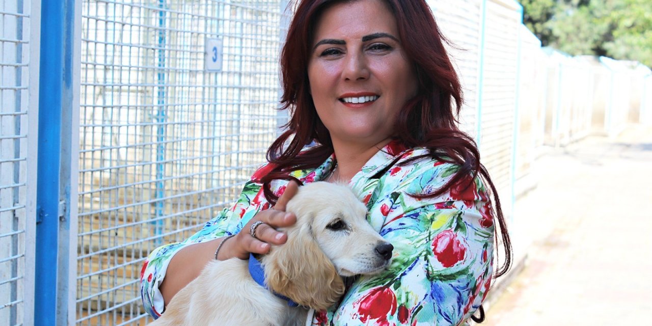 AYDIN BÜYÜKŞEHİR BELEDİYESİ, SOKAK HAYVANLARINA SAHİP ÇIKIYOR