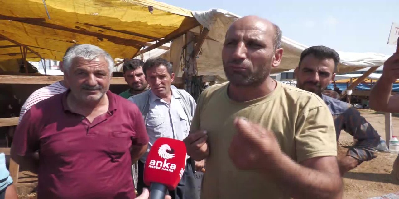 BESİCİLER, YARDIM ADI ALTINDA KURBANLARI UCUZA ALAN VAKIFLARDAN ŞİKAYETÇİ: "İNSANLARIN DUYGULARINI SÖMÜRÜYORLAR"