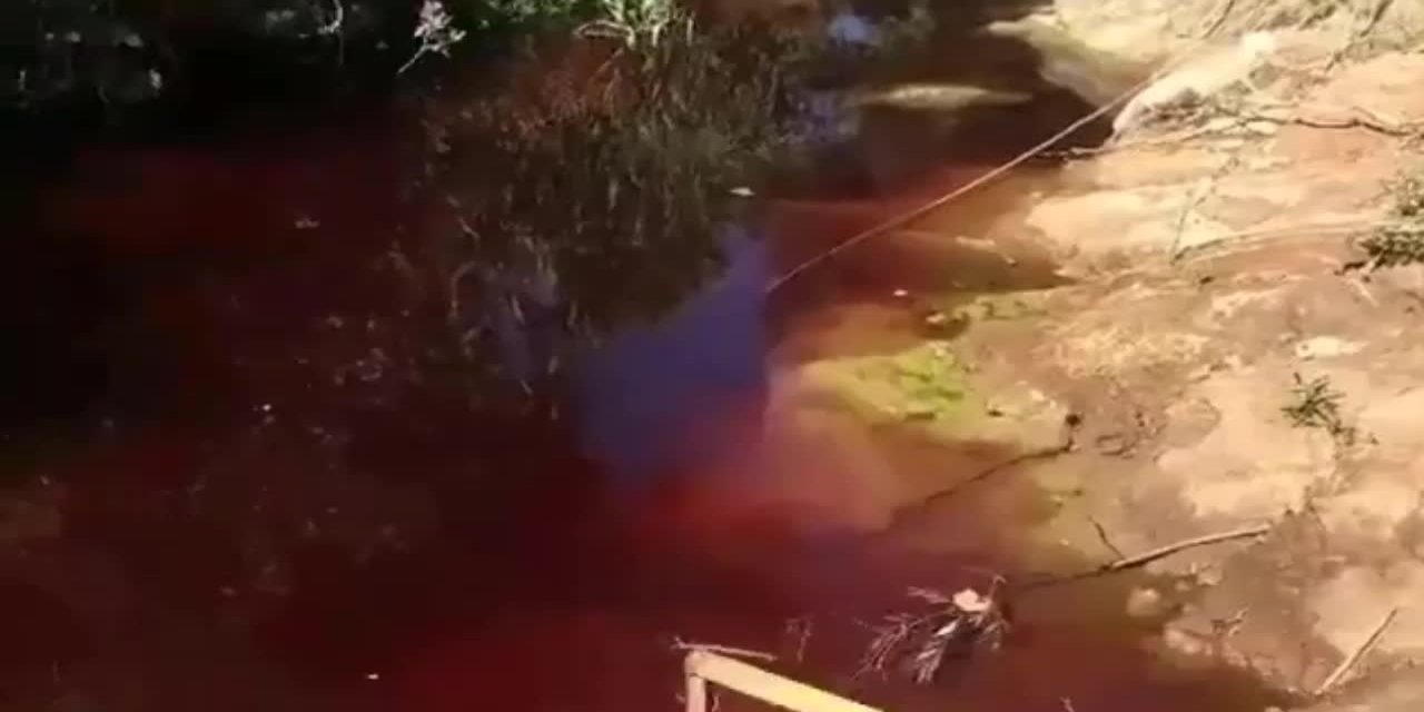 İZMİR'DE DERE KANA BULANDI