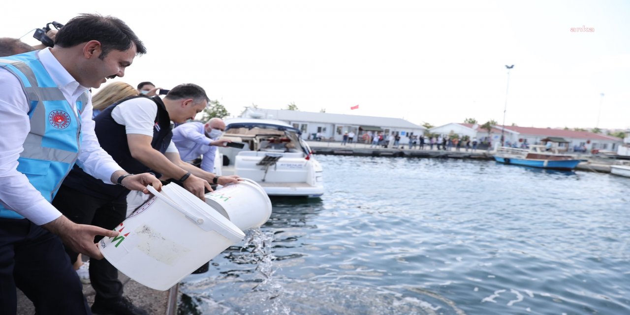 BAKAN KURUM’DAN MÜSİLAJ AÇIKLAMASI: "BİN 201 DENETİMDE, 7 MİLYON 166 BİN TL CEZA KESİLDİ"