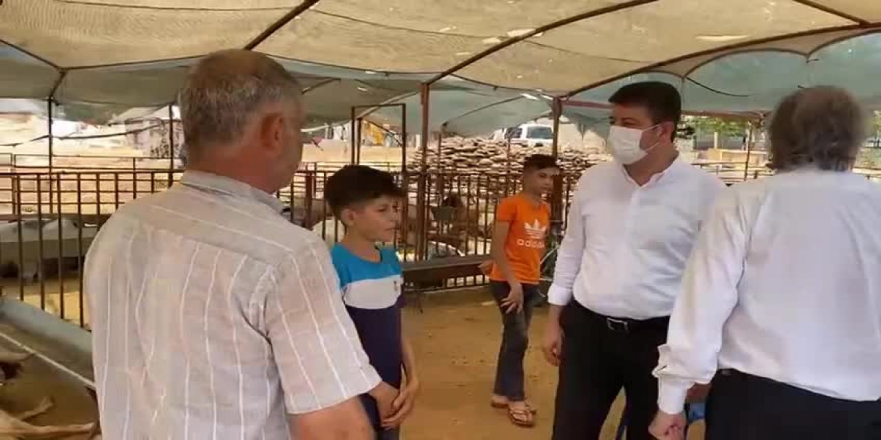 KURBAN BAYRAMININ 3. GÜNÜNDE, BESİCİLER HAYVANLARINI SATAMADI: “350 MAL GETİRDİM, 26 TANE SATTIM”