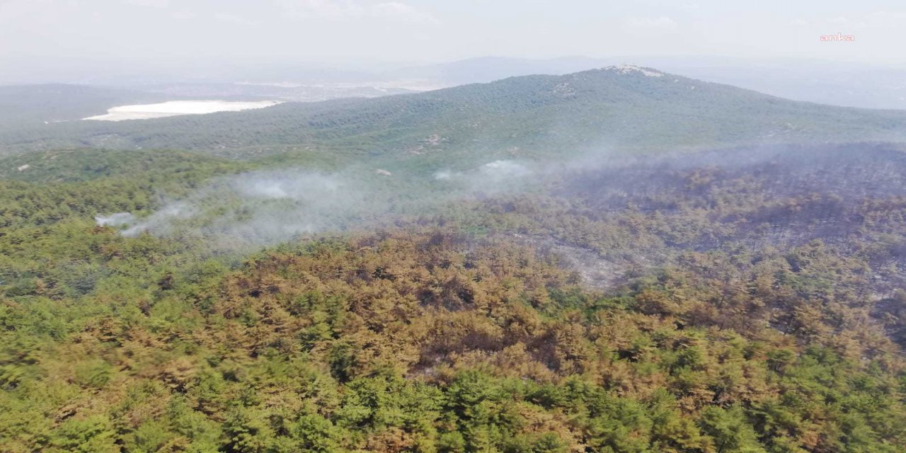 MUĞLA MİLAS’TA ORMAN YANGINI YENİDEN BAŞLADI