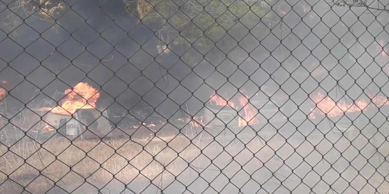 MARMARİS YANGINI ÇAM BALI ORMANLARINI YOK ETTİ: “BU KÖY ÇAM BALININ BAŞKENTİYDİ, BURASI BİTTİ”