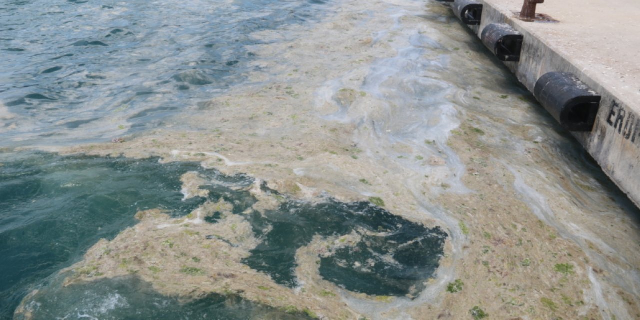 MARMARA DENİZİ ZİRVESİ YARIN BAŞLIYOR