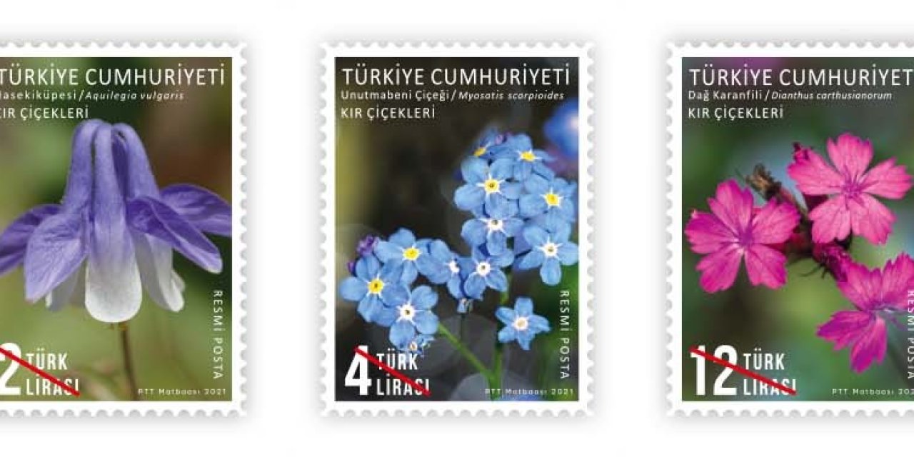 PTT, “KIR ÇİÇEKLERİ” TEMALI RESMİ POSTA PULLARINI SATIŞA ÇIKARTTI
